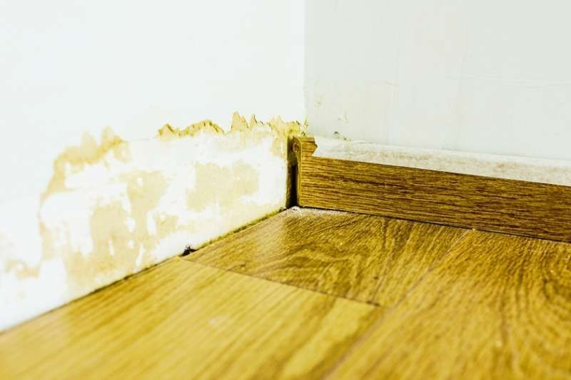 Leak Detection Services in Shell, WY