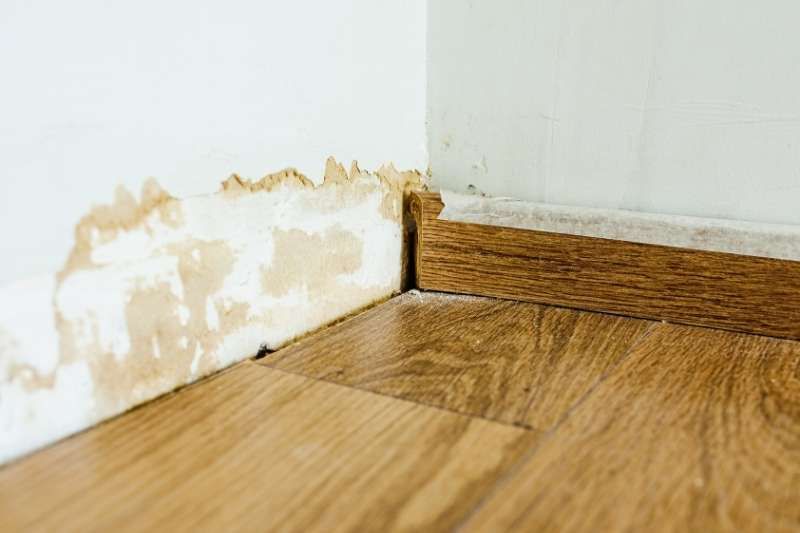 Water Damage Repair in Frankton, IN