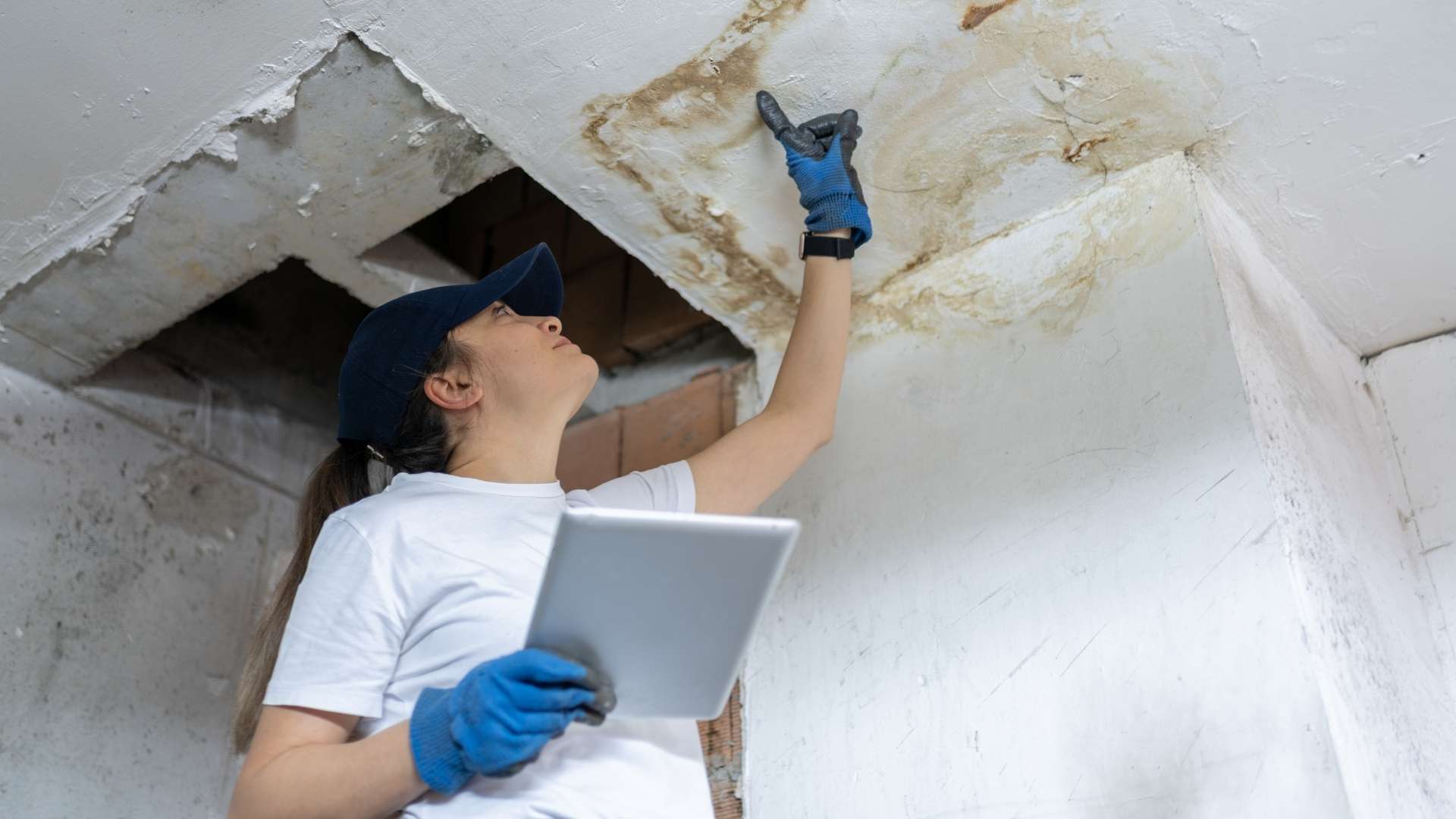 FAQS about Water Damage Repair Services in Frankton, IN