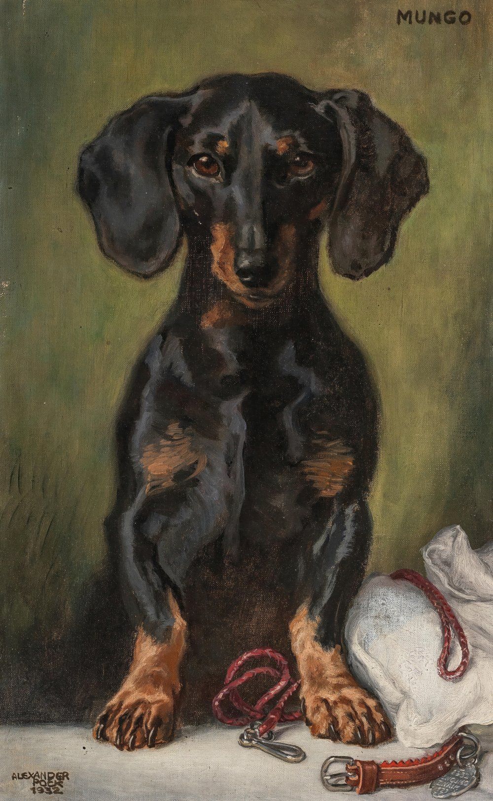 Konten Pintaran Dachshund di atas Meja dengan Leash