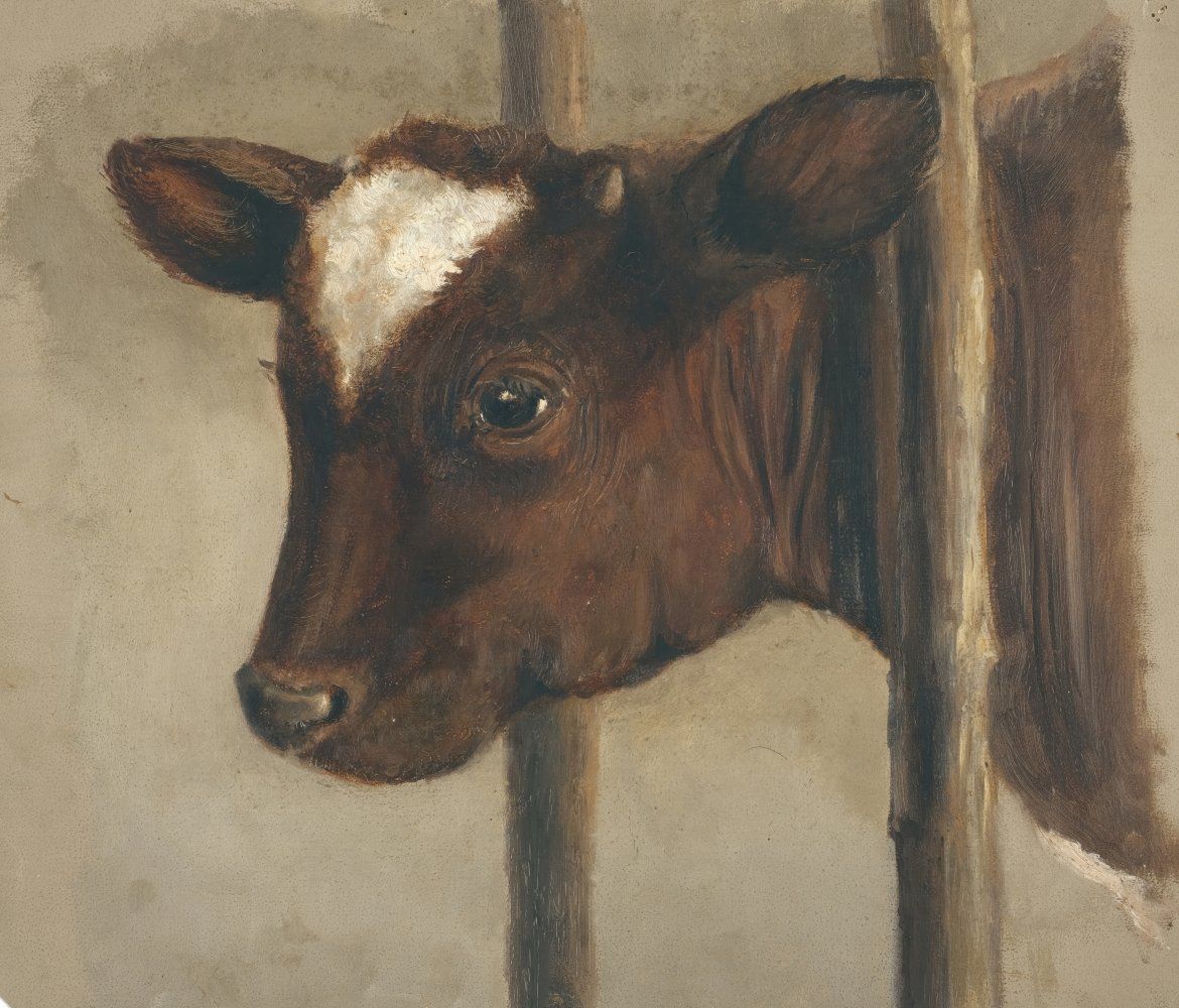 Konten Kebutuhan Gizi Kambing
