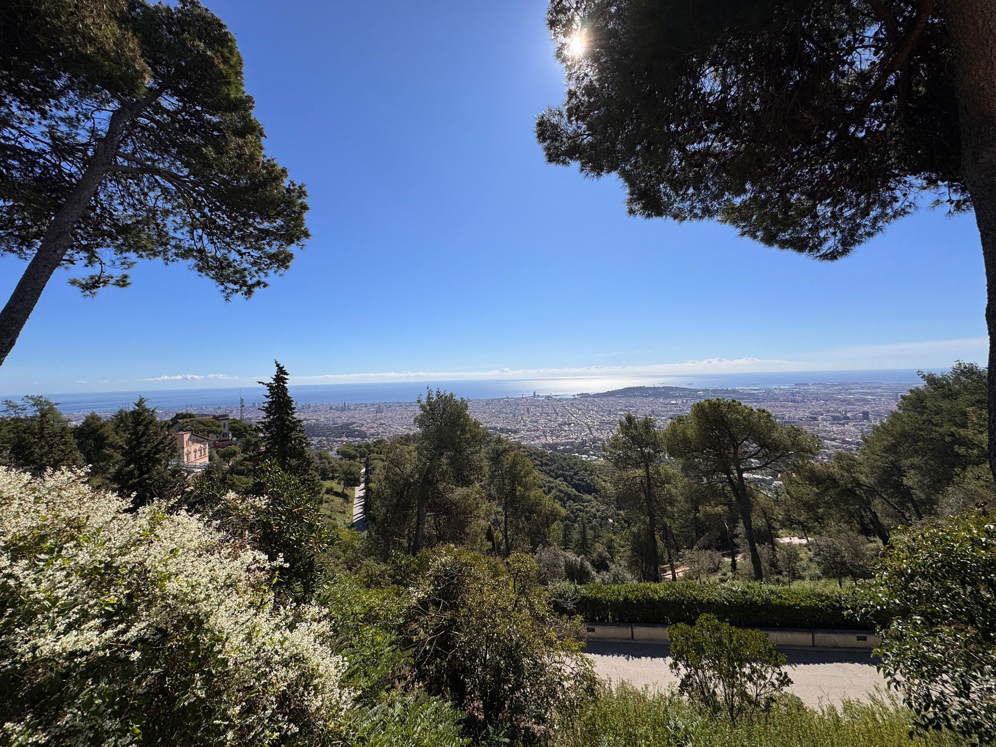 undefined - fotka 8