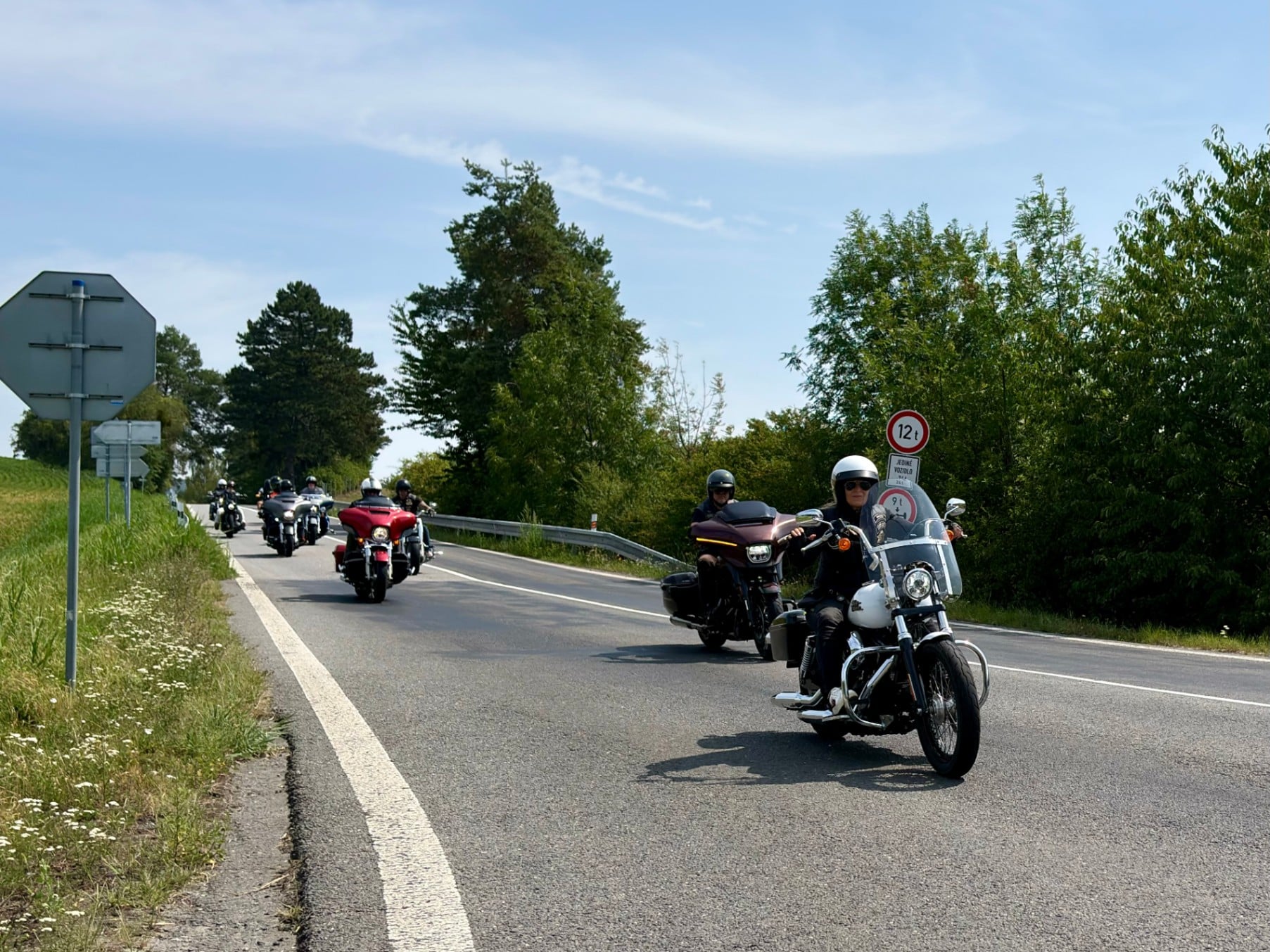 HOG OSTRAVA JEDE NA PÁLAVU - fotka 46