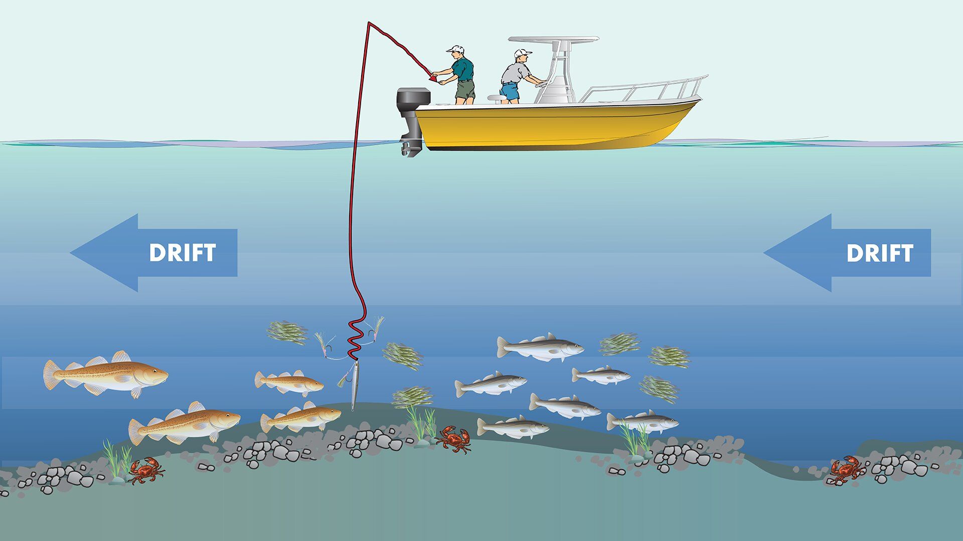 Bottom Thump R2800 — Biki sea bass retrieve diagram