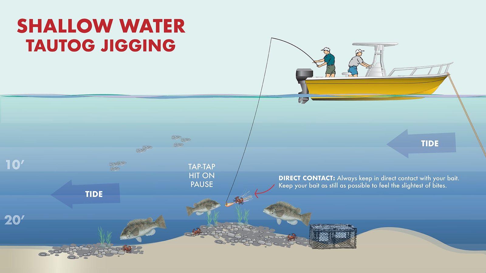 Bottom thump retrieve for tautog on a shallow rock pile