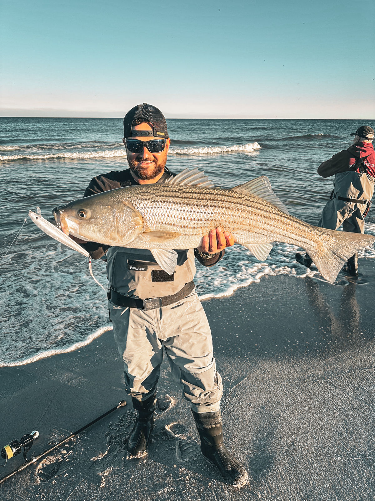 A surfcaster holds a striped bass horizontally at the water's edge on the open beach.