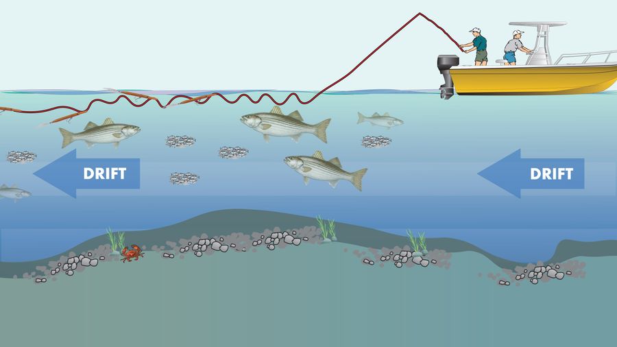 R1603 Needle retrieve diagram.