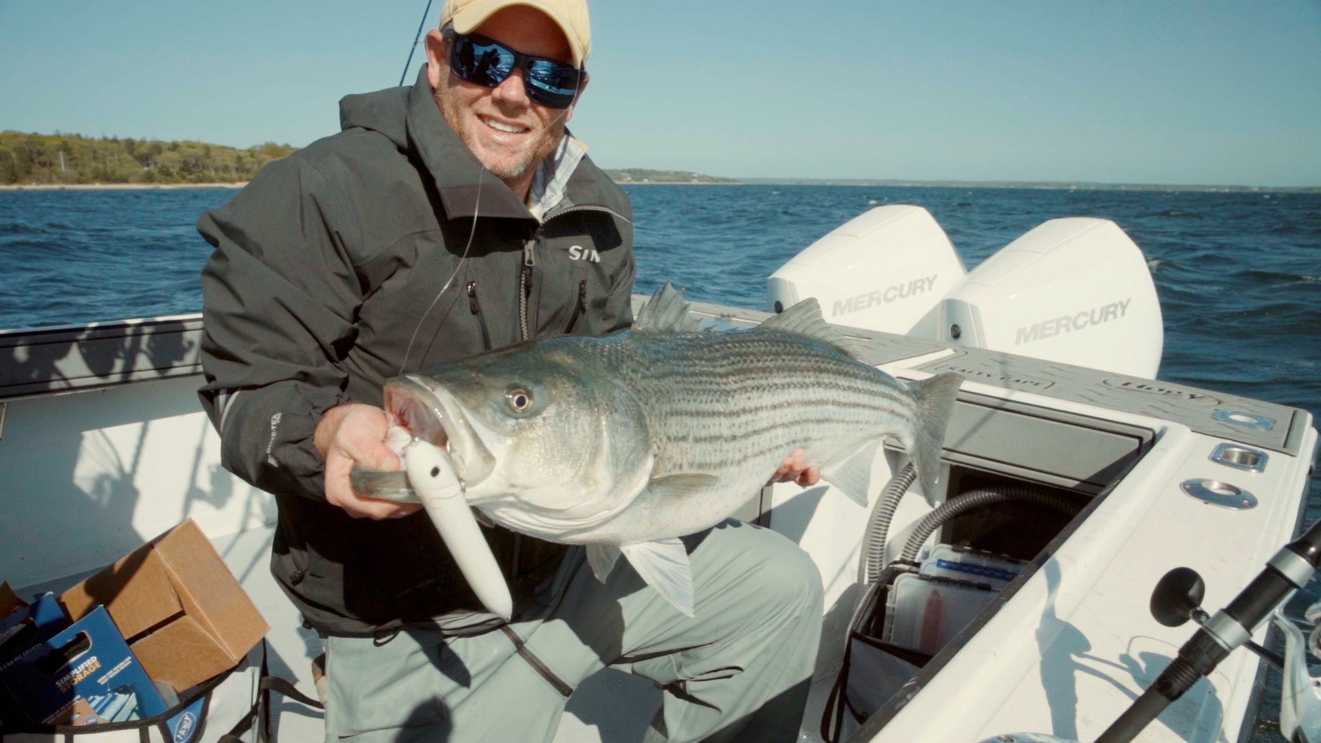 Capt. Mike Hogan supporting a big striped bass for C&R release