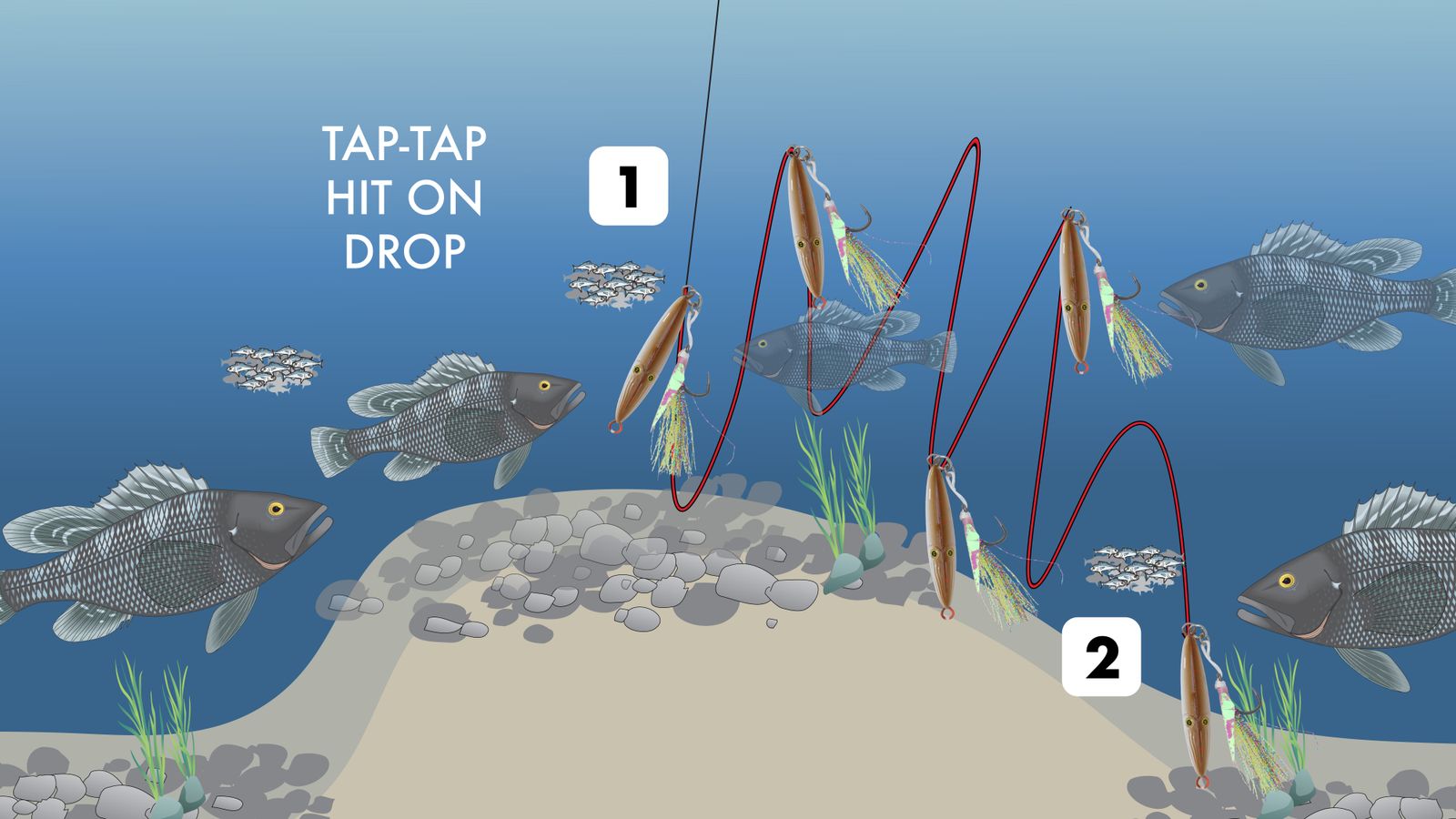 Slow-pitch style jig retrieve over rocks, tap-tap and hit on the drop