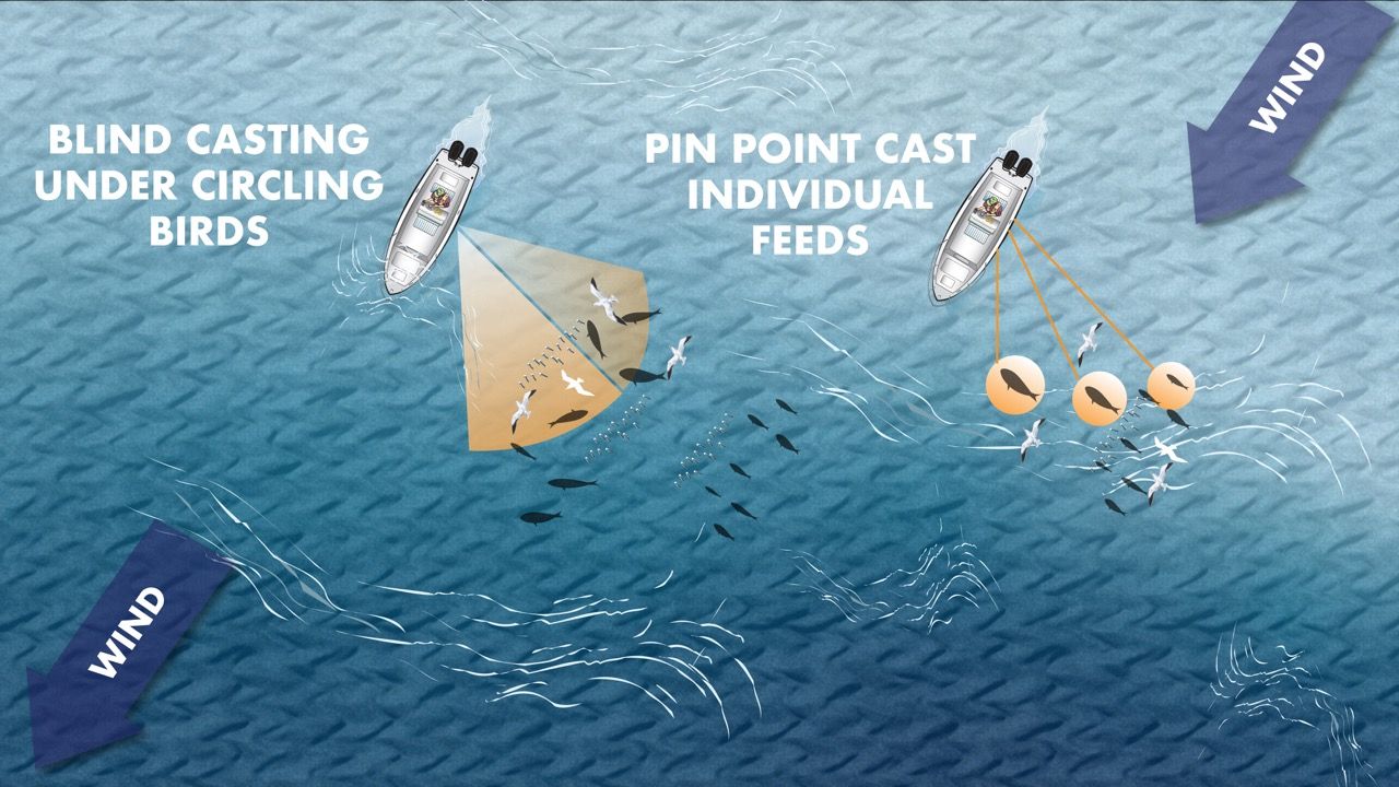 B2401 Open Water Tactical Drifting — Handkerchief Shoal smooth water