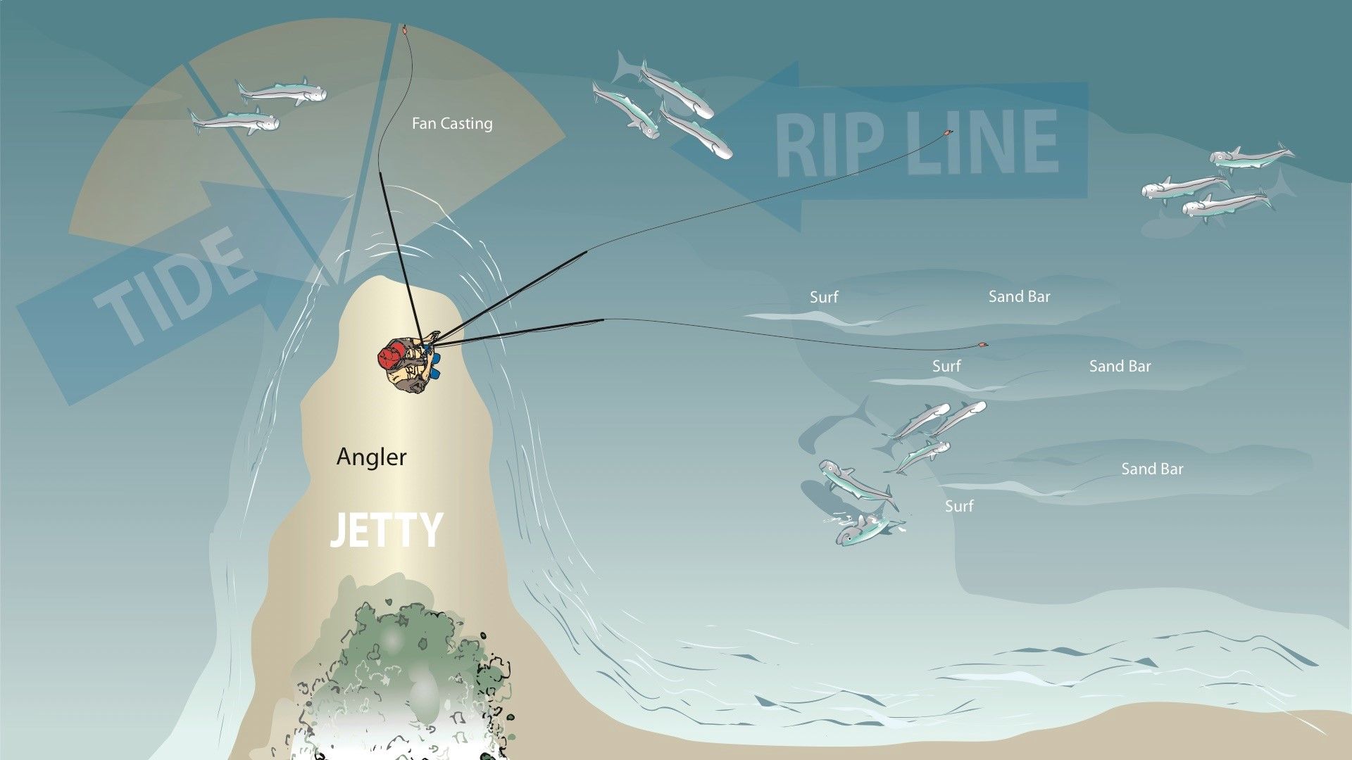 SHA200 Fan Cast Structure: shore angler fan-casting a rocky shoreline.
