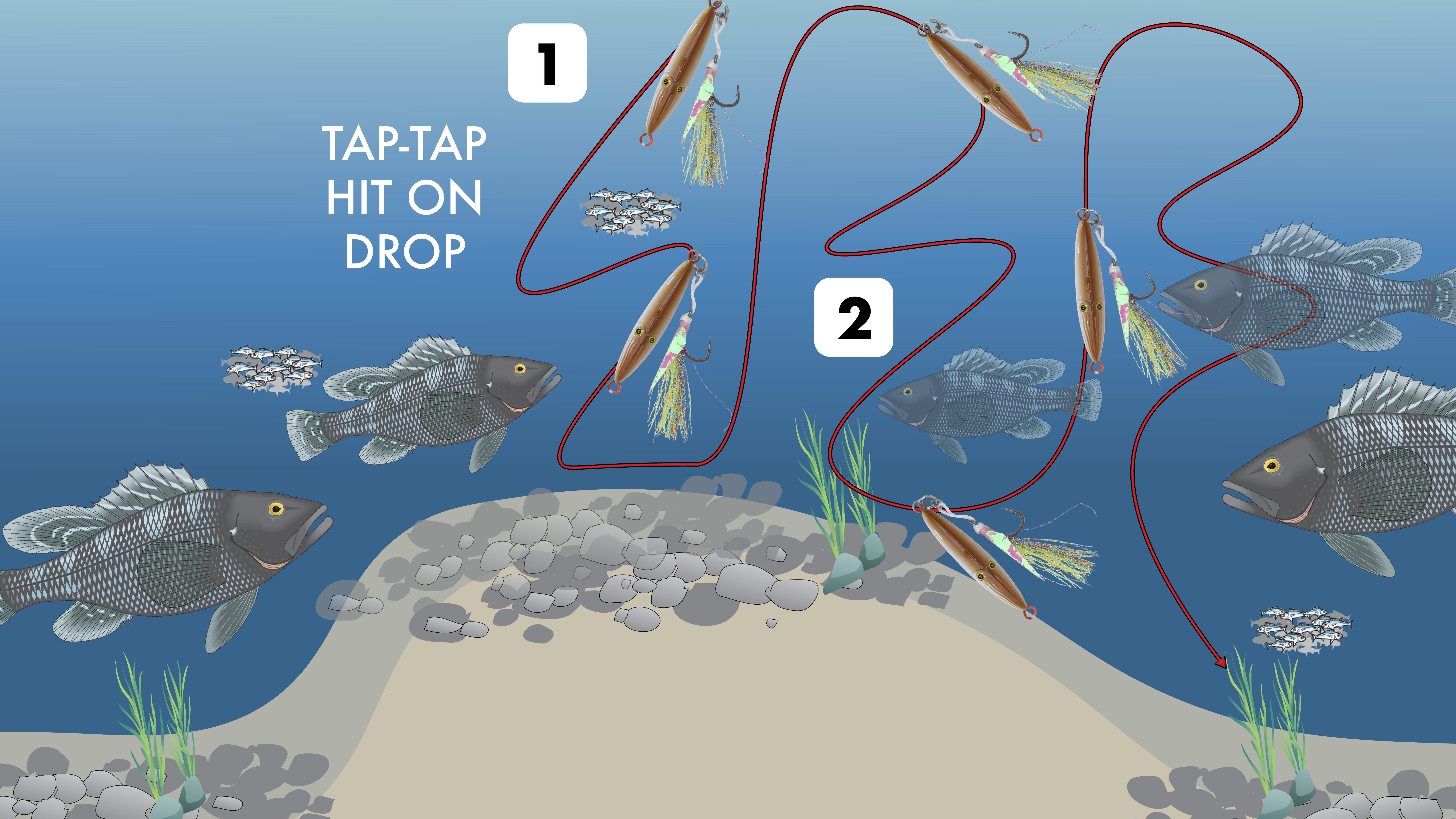 R2704 Twitch Jig — Squinnow sea bass commotion retrieve