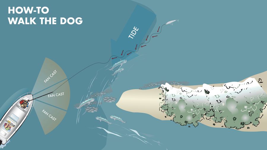 R110 Walk-the-Dog diagram.