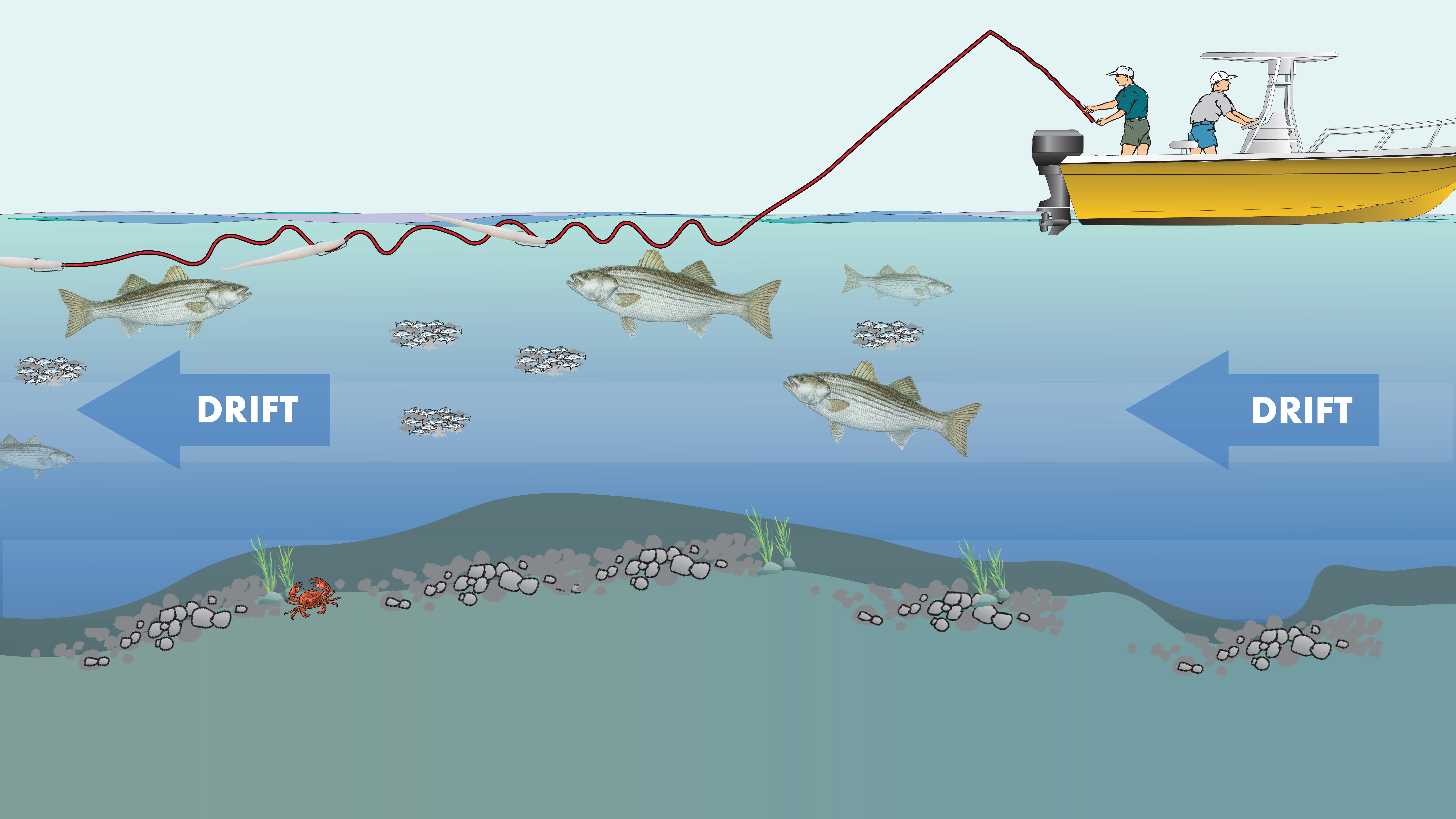 R1600 Slow stick surface retrieve — Needlefish style