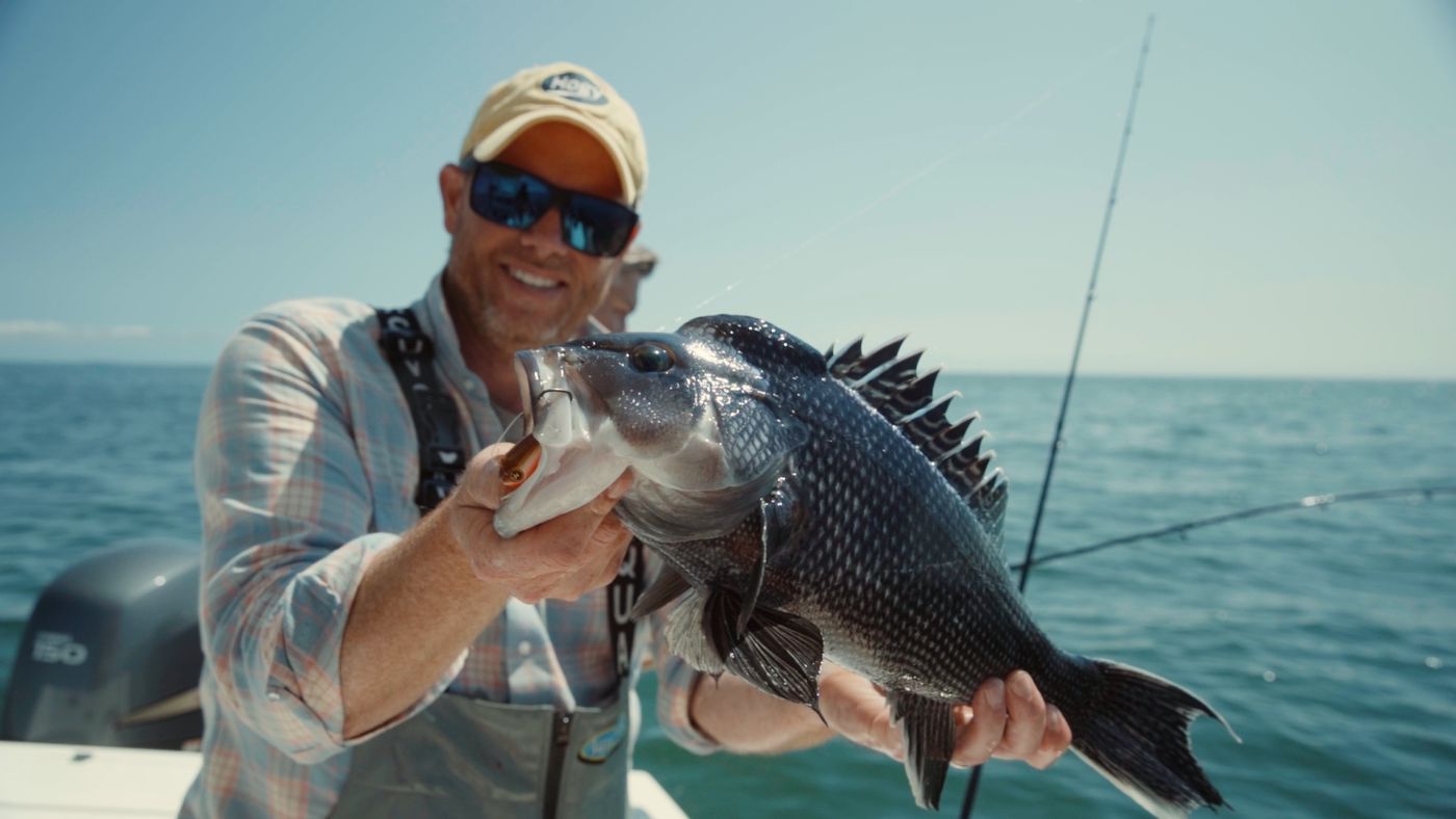 Angler holding a black sea bass on the boat
