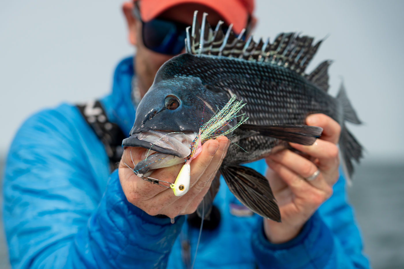 Capt. Mike Hogan holding a black sea bass caught on a Hogy Groundfish Biki Jig