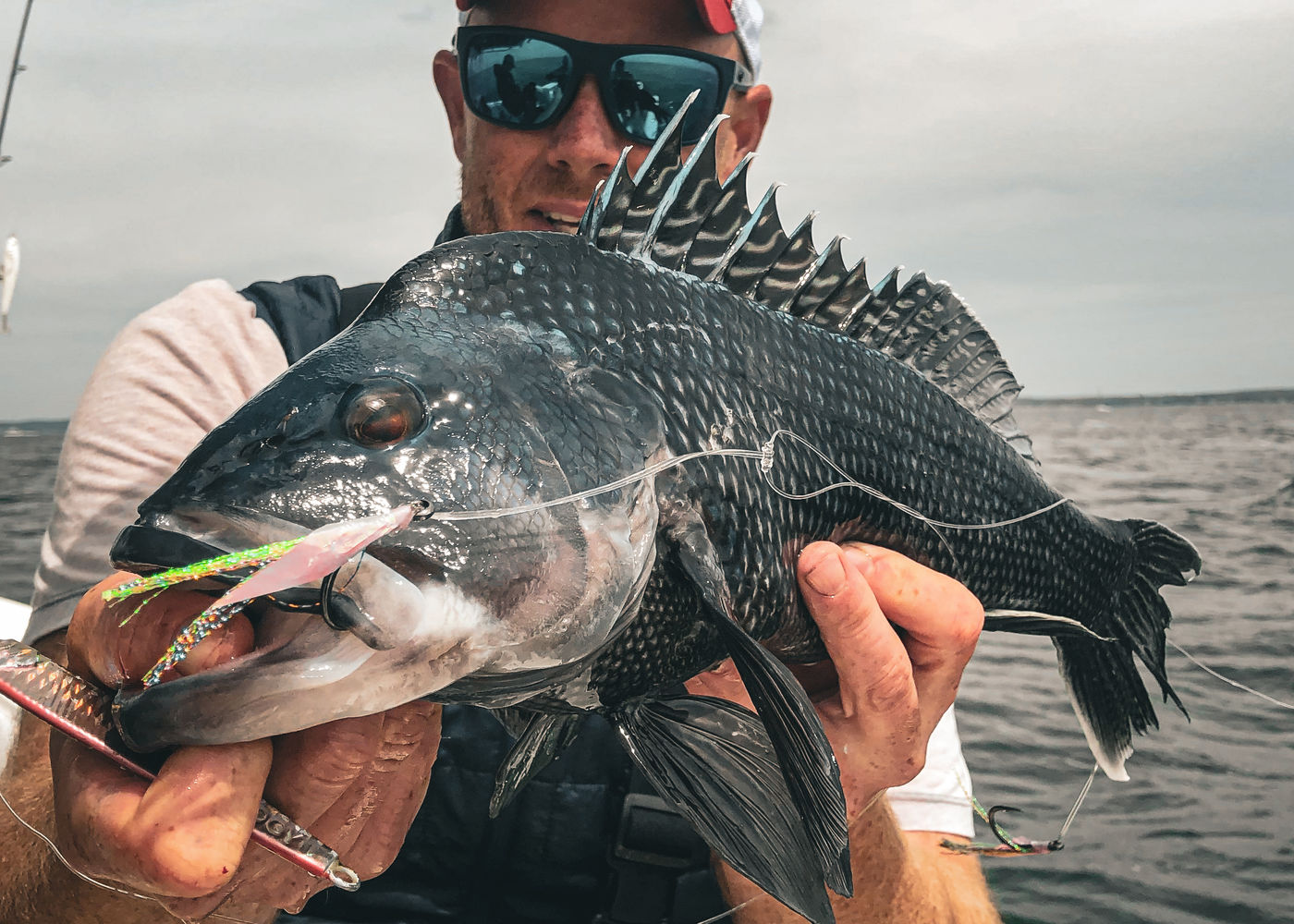 Black sea bass with a Hogy Biki rig in its jaw