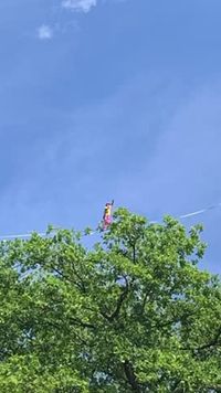 Challenge submission video