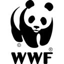 WWF Jugend