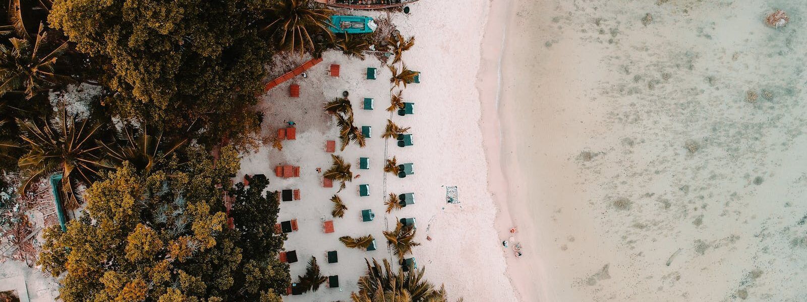 Explore the tropical beach with sun loungers, palm trees, and white sand in the Andaman Islands