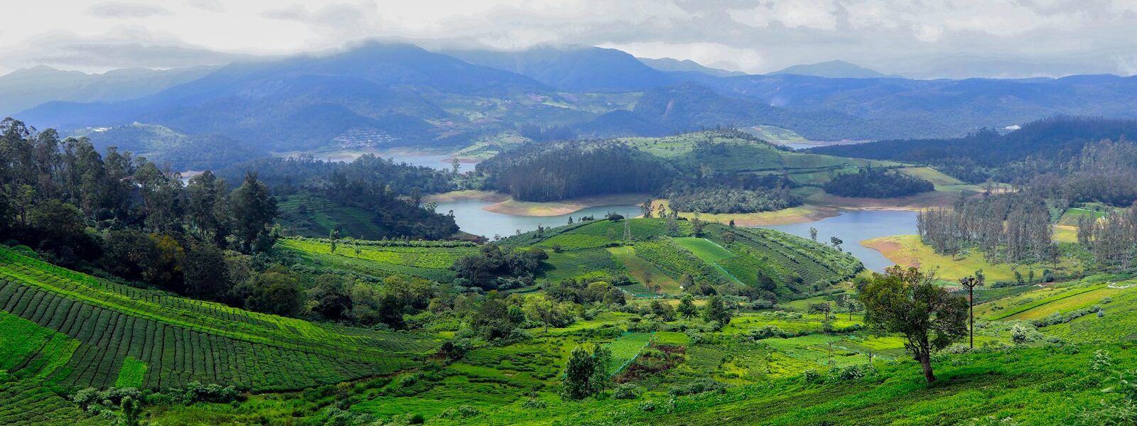 Ooty-Mountain Vista