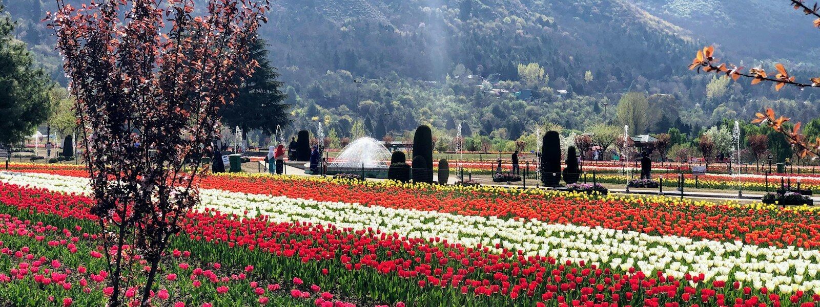 Srinagar-Colorful Mughal Gardens