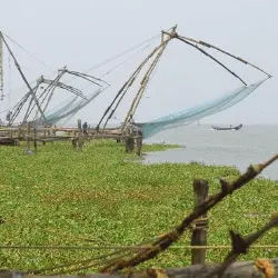 Chinese fishing nets Kerala tour package