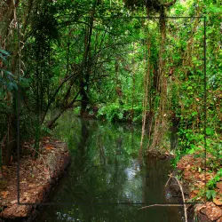 kumarakom bird sanctuary