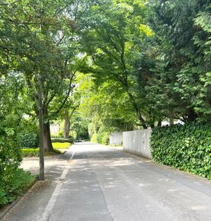 Hollenders Immobilien: Letztes Traumgrundstück in Bestlage von Köln-Hahnwald – inklusive Baugenehmigung, Süd-/West-Ausrichtung und wunderschönem altem Baumbestand-0