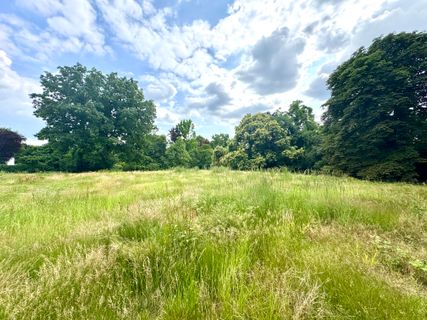 Hollenders Immobilien: Letztes Traumgrundstück in Bestlage von Köln-Hahnwald – inklusive Baugenehmigung, Süd-/West-Ausrichtung und wunderschönem altem Baumbestand-2