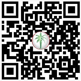 DLD QR Code