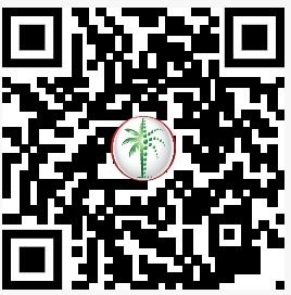DLD QR Code