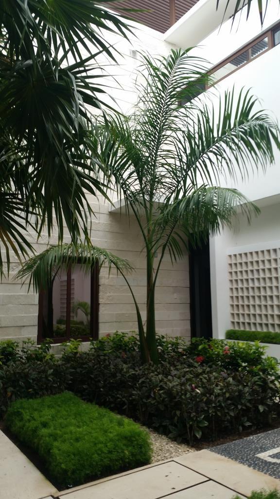 House BR3 BA3,  Ocean Residences, Tulum.