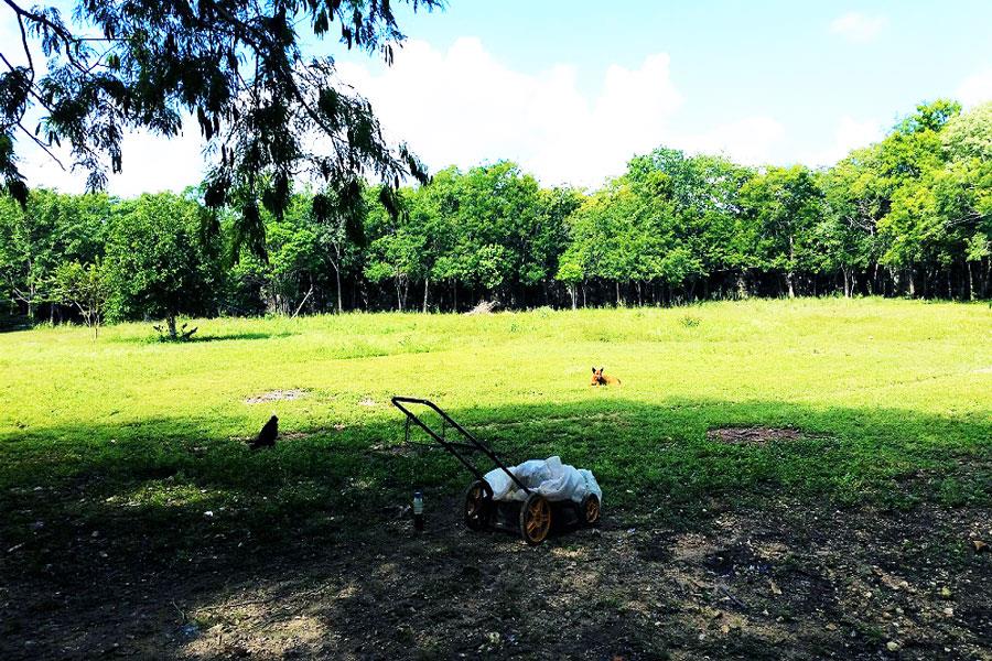 Land for Sale 107600 sqf.  Bonfil, Cancun