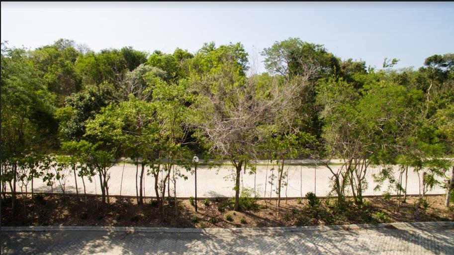 Penthouse BR2 BA2, Kaan Ha, Bahia Principe, Tulum