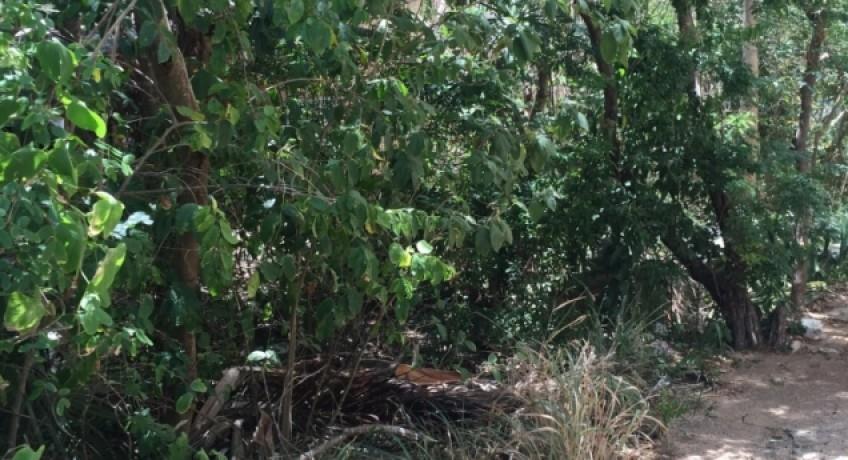 Lot 6456 sqf. XelHa, Puerto Aventuras