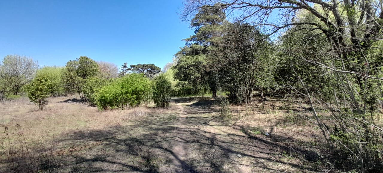 13 Hectáreas en Venta en La Falda – Oportunidad de Inversión y Desarrollo - foto 5