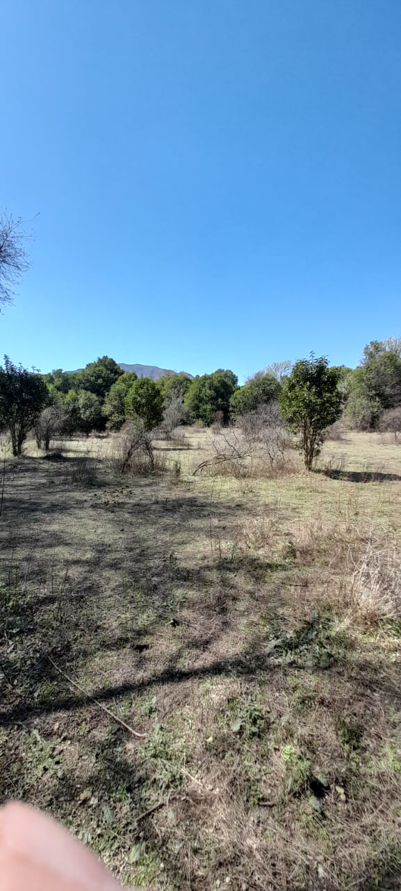 13 Hectáreas en Venta en La Falda – Oportunidad de Inversión y Desarrollo - foto 8