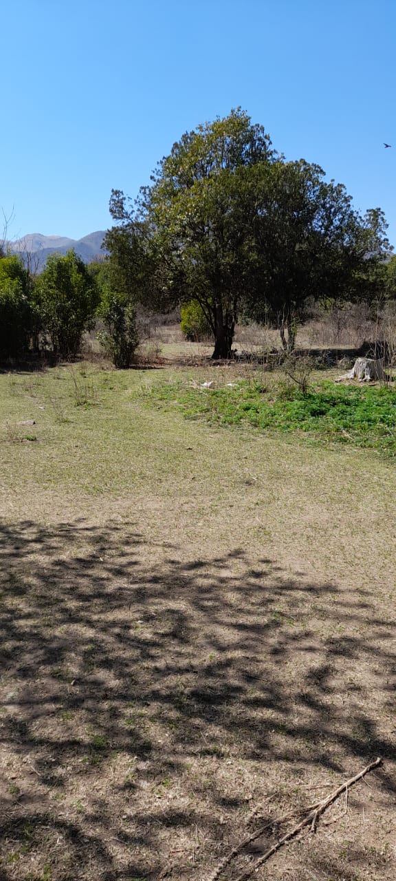 13 Hectáreas en Venta en La Falda – Oportunidad de Inversión y Desarrollo - foto 9