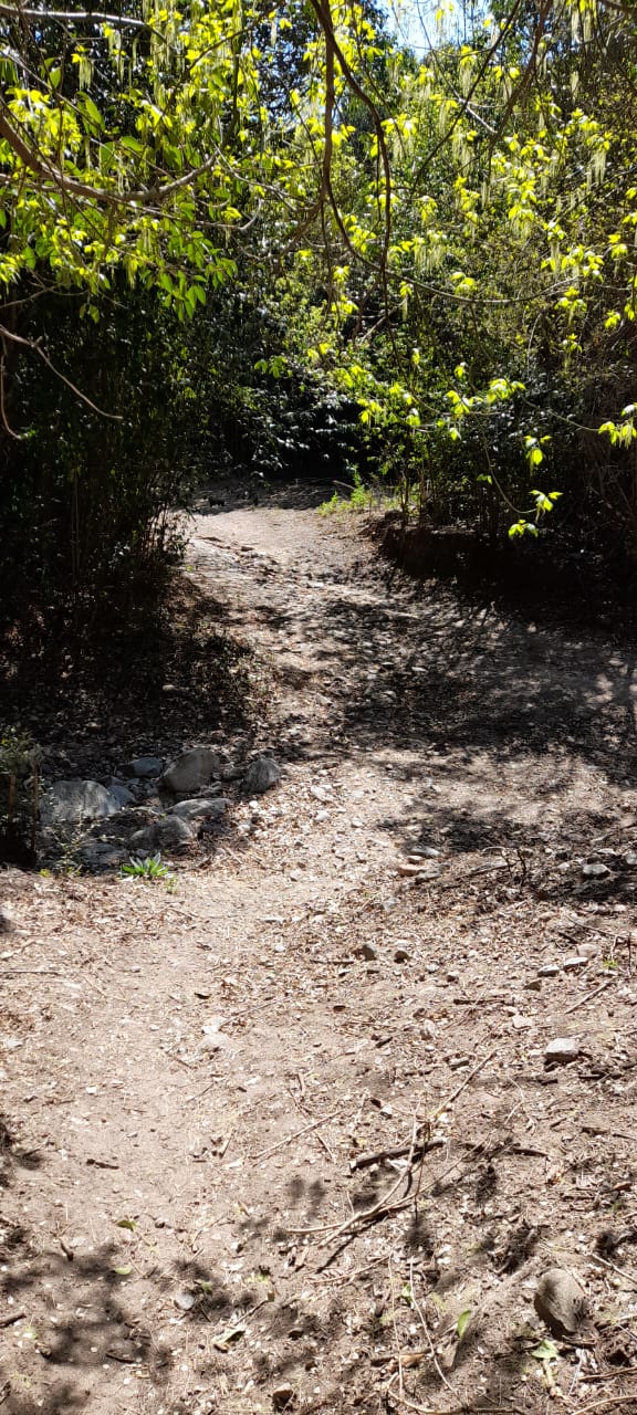 13 Hectáreas en Venta en La Falda – Oportunidad de Inversión y Desarrollo - foto 11
