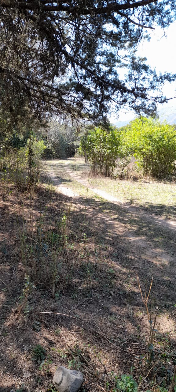 13 Hectáreas en Venta en La Falda – Oportunidad de Inversión y Desarrollo - foto 12
