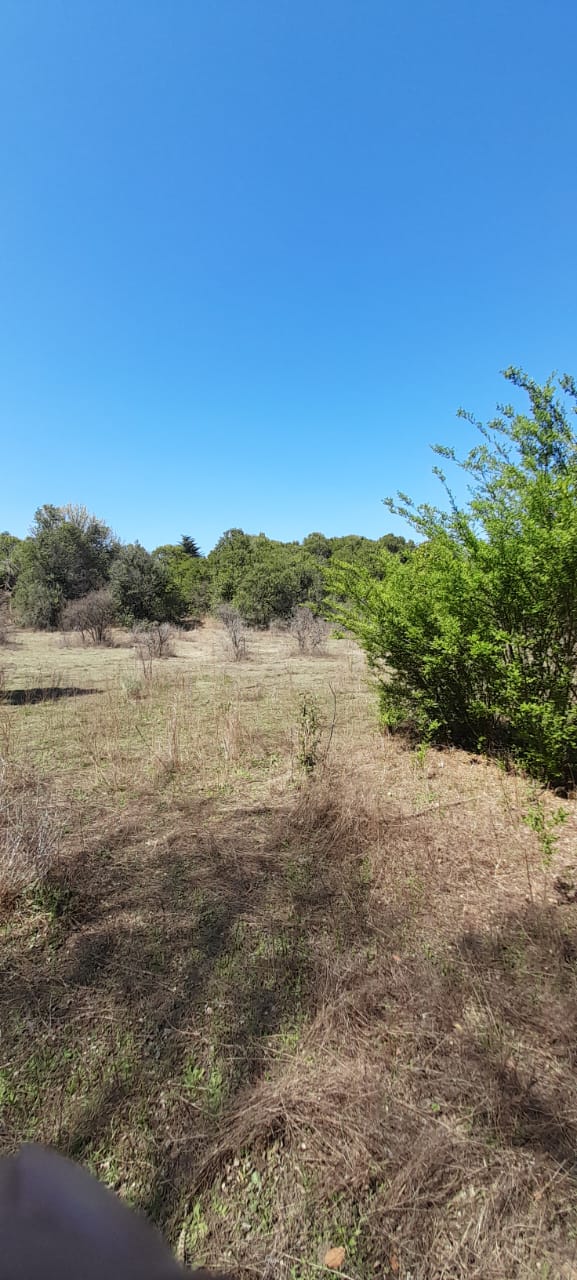 13 Hectáreas en Venta en La Falda – Oportunidad de Inversión y Desarrollo - foto 13