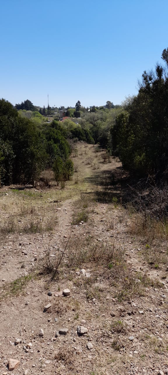 13 Hectáreas en Venta en La Falda – Oportunidad de Inversión y Desarrollo - foto 14
