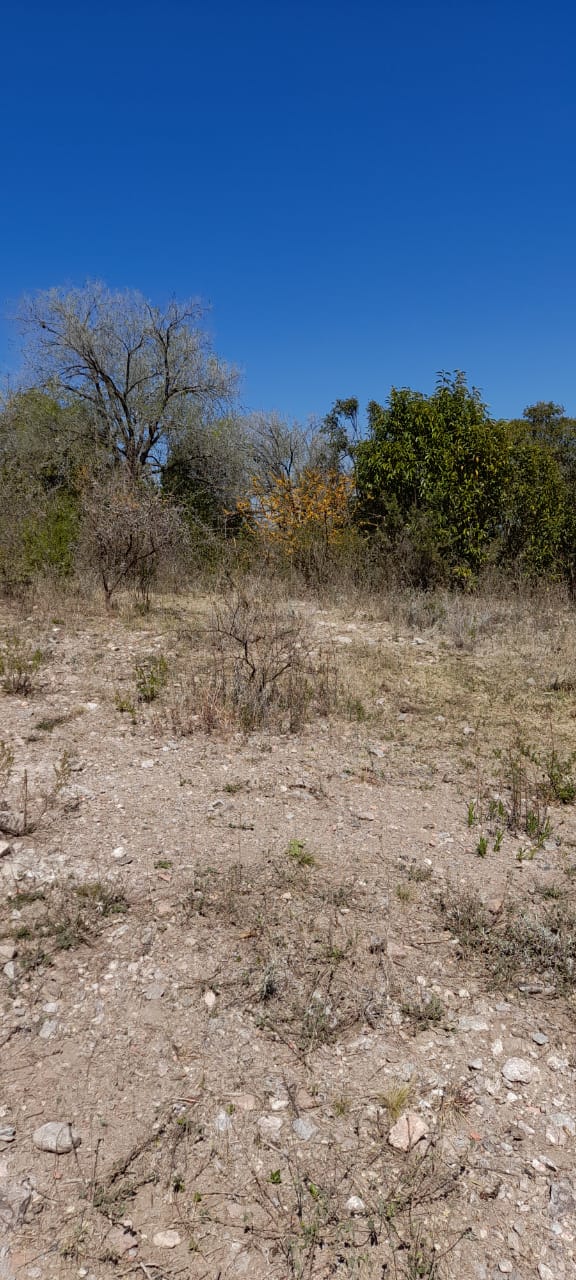 13 Hectáreas en Venta en La Falda – Oportunidad de Inversión y Desarrollo - foto 15