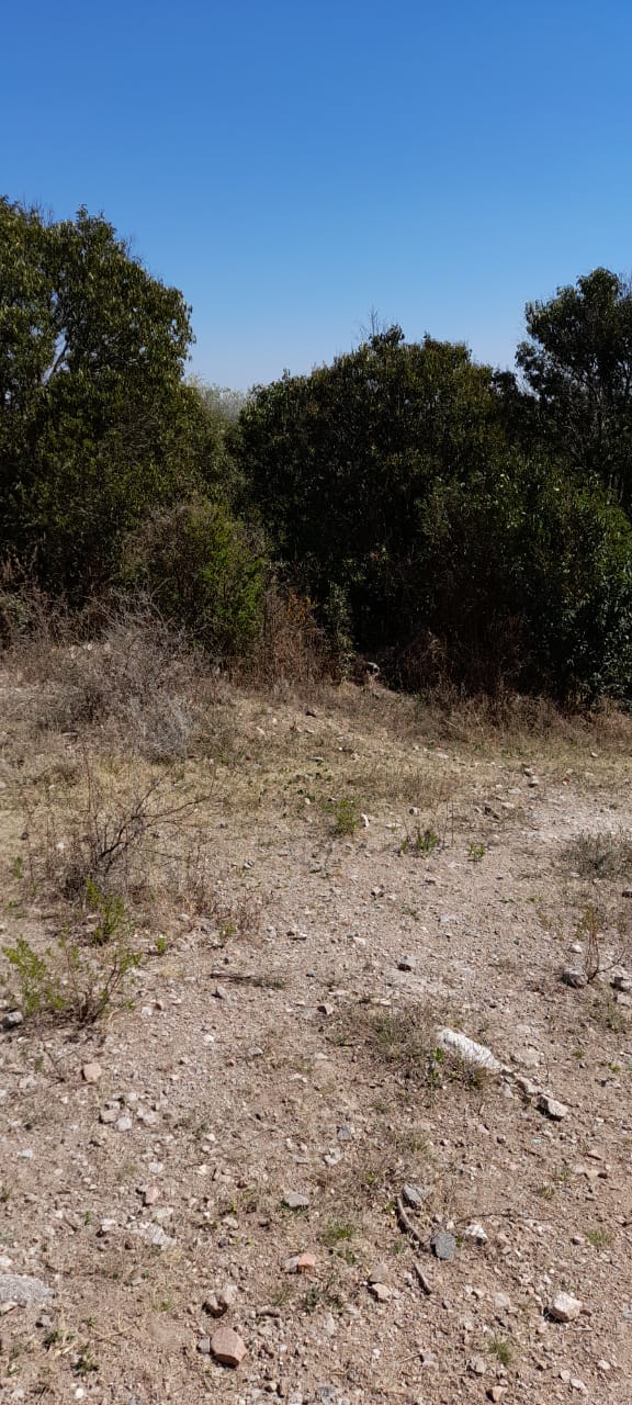 13 Hectáreas en Venta en La Falda – Oportunidad de Inversión y Desarrollo - foto 16