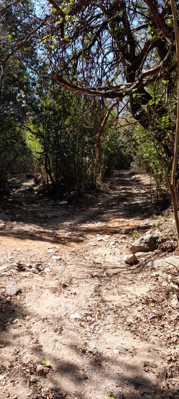 13 Hectáreas en Venta en La Falda – Oportunidad de Inversión y Desarrollo - foto 18