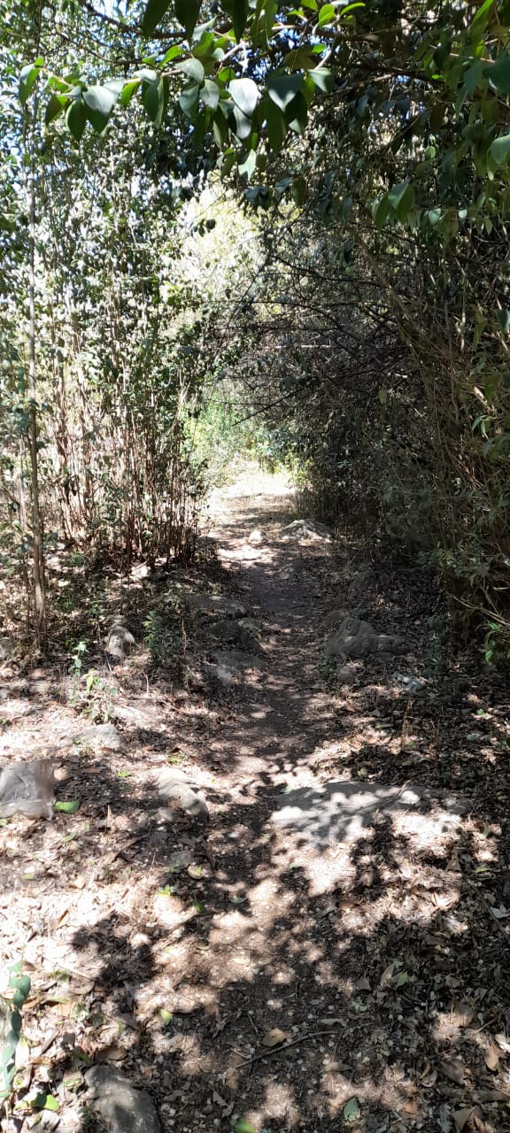 13 Hectáreas en Venta en La Falda – Oportunidad de Inversión y Desarrollo - foto 19