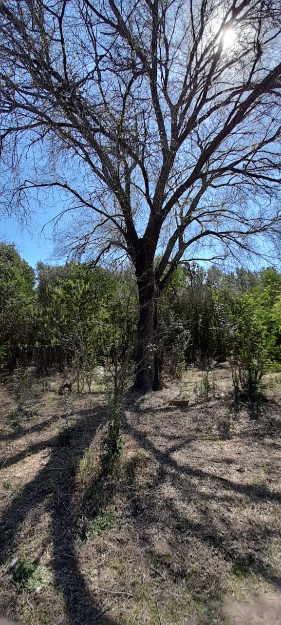 13 Hectáreas en Venta en La Falda – Oportunidad de Inversión y Desarrollo - foto 20