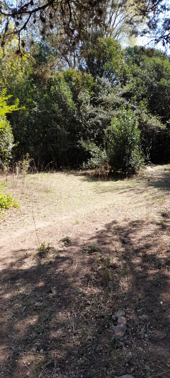 13 Hectáreas en Venta en La Falda – Oportunidad de Inversión y Desarrollo - foto 21