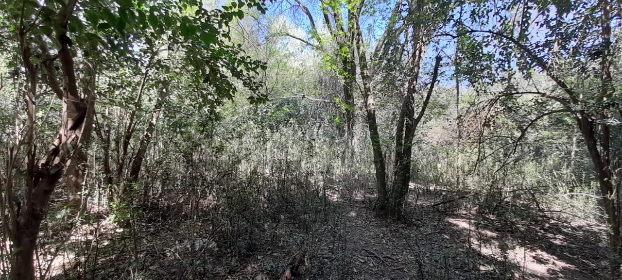 13 Hectáreas en Venta en La Falda – Oportunidad de Inversión y Desarrollo - foto 24